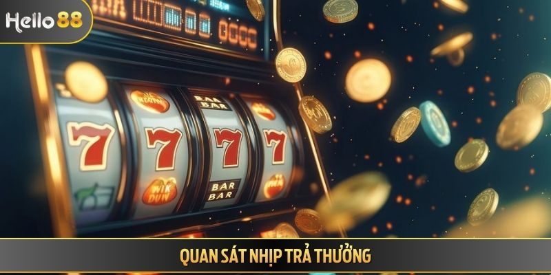 Quan sát nhịp trả thưởng