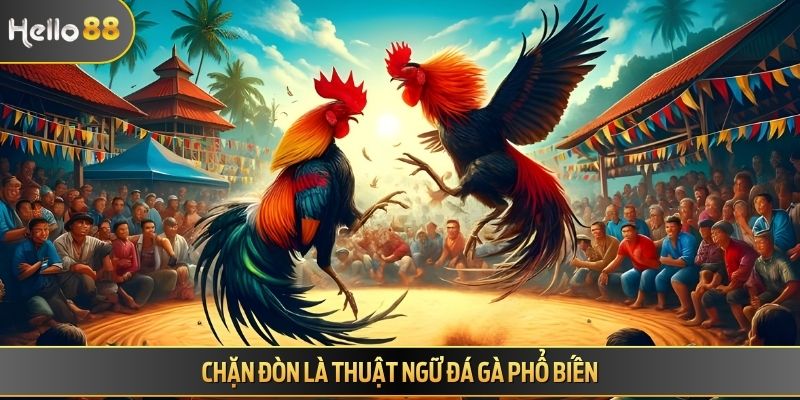 Chặn đòn là thuật ngữ đá gà phổ biến